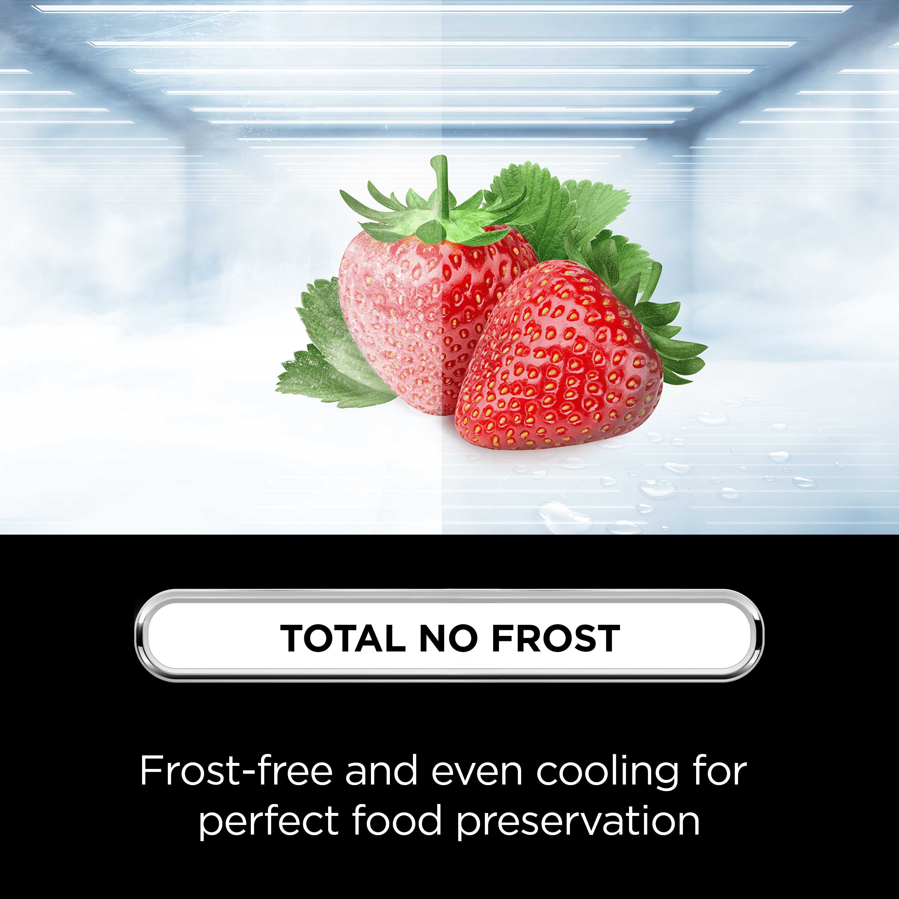 RP320FXE0UK American Style 320l Total No Frost Fridge Freezer - Inox